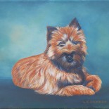 cairn terrier painting, cairn terrier, cairn terrier portrait by Leslie Klipper Stewart of Art by LK Stewart Bend OR Sunriver OR